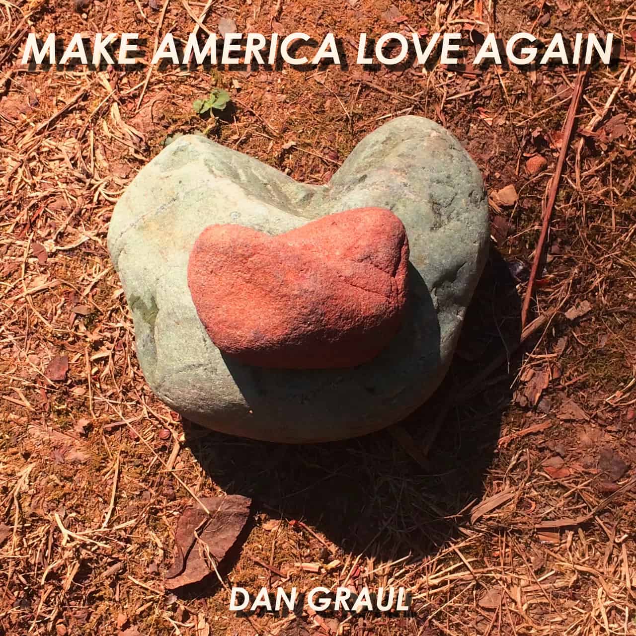 Album Art Dan Graul Make America Love Again